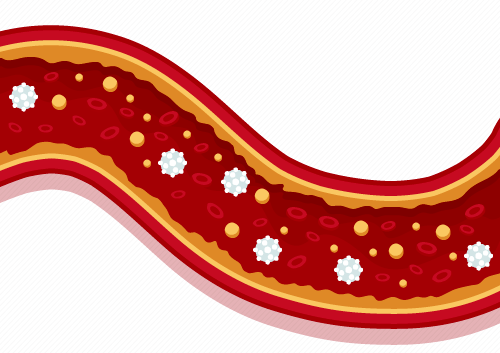 A hidromasszázs fúvókák hatásai a fürdődézsában od Gardwells